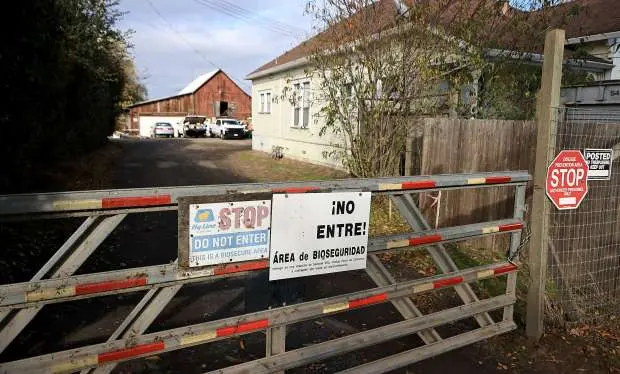 ورودی فارم Sunrise در ناحیهٔ روستایی پتالمه در دسامبر