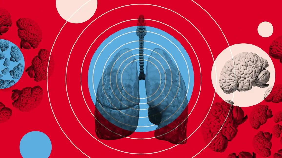 تصویری از ریه و مغز که در الگوهایی شعاعی سازماندهی شده‌اند.