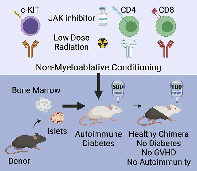 چکیده پیوند
