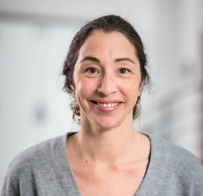 آماندین شایکس