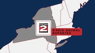 حیوان هاریدار گزارش شده