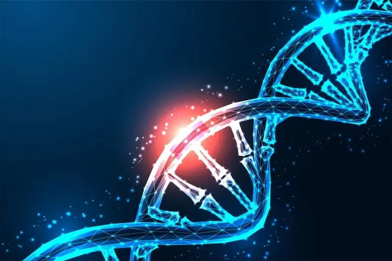 جهش ژنتیکی تعمیر آسیب DNA
