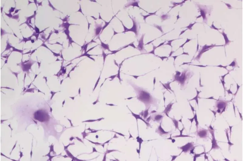 کشف تصادفی به کشفیات نجات‌بخش منجر می‌شود