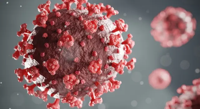 ویروس کووید