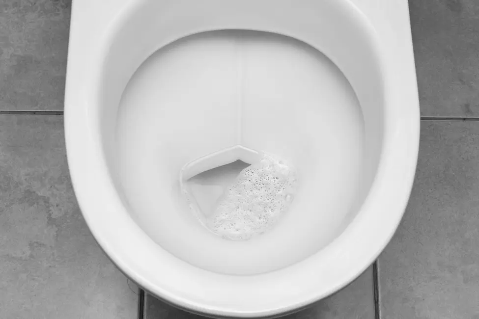 تا جایی که می‌توانید از نورویروس دوری کنید؛ وگرنه با توالت دوست خواهید شد.