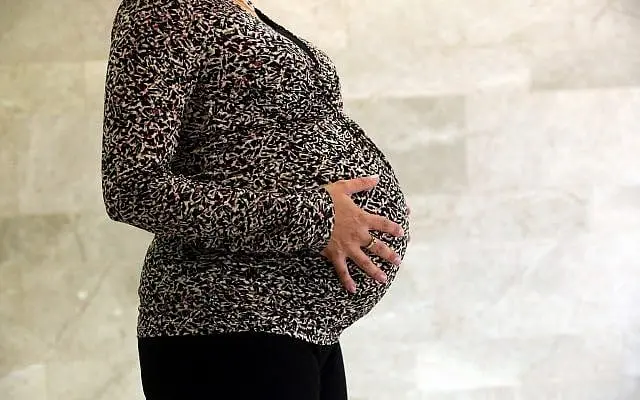 پرتره‌ای از زن باردار. (یوسی زامیر/فلش ۹۰)