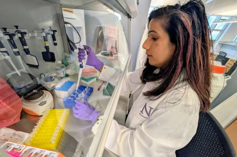 درمان جدید با آنتیبادی سیستم ایمنی را برای مبارزه با سرطان پانکراس دوباره فعال میکند