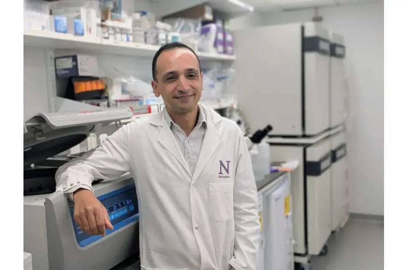 درمان جدید با آنتیبادی سیستم ایمنی را برای مبارزه با سرطان پانکراس دوباره فعال میکند