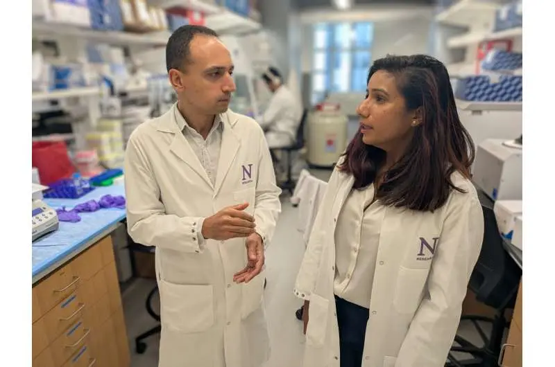 درمان جدید با آنتیبادی سیستم ایمنی را برای مبارزه با سرطان پانکراس دوباره فعال میکند