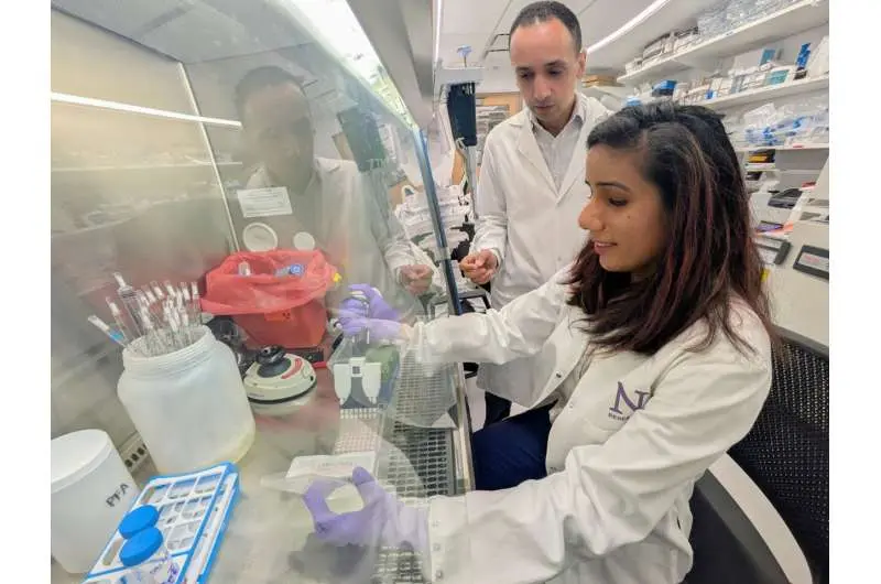 درمان جدید با آنتیبادی سیستم ایمنی را برای مبارزه با سرطان پانکراس دوباره فعال میکند