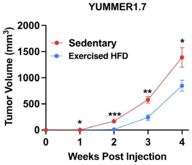 نمودار سرطان