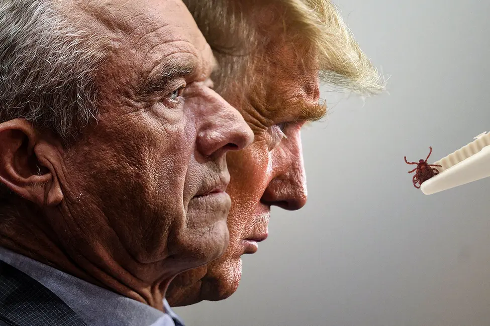 در یک تصویر تصویری، ترامپ و RFK جونیور در مقابل یک کنه ظاهر می‌شوند