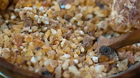 Alamy یک رزین معطر و خوشبو با بوی چوبی و ادویه‌ای که کندر به‌طور هزاران سال برای بخور و درمان‌های سنتی به‌کار رفته (منبع: Alamy)