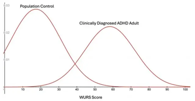عکس: سیمون دآکوئینو
