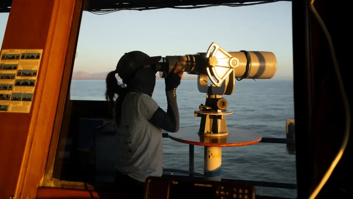 امروز تمرکز بر ارائه تجهیزات جایگزین و امن برای واکیتا به ماهیگیران و تقویت عملیات نظارتی است تا صید غیرقانونی ریشهکن شود و این گونه فرصت و زمان کافی برای بازسازی جمعیت را داشته باشد.