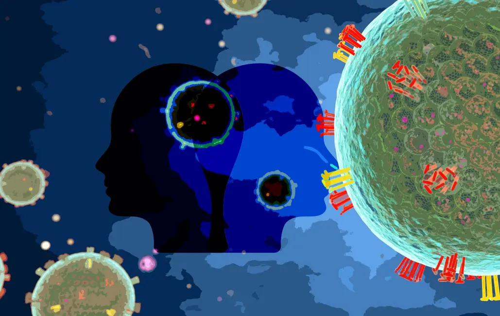 تصویر توسط نوح هیکی/The Dispatch (عکس‌ها از گتی ایمیجز).